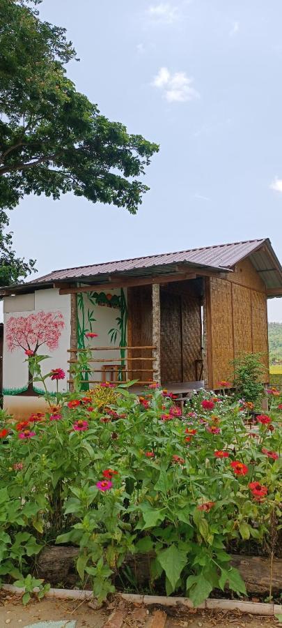 Kaewma Farmstay Khuang Kom Exterior foto