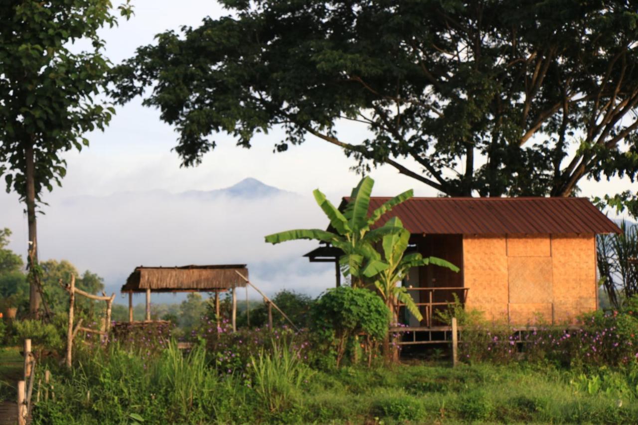 Kaewma Farmstay Khuang Kom Exterior foto