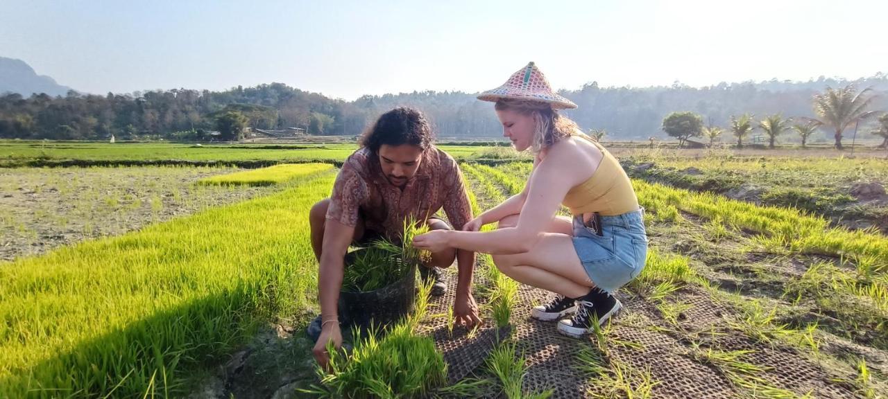 Kaewma Farmstay Khuang Kom Exterior foto