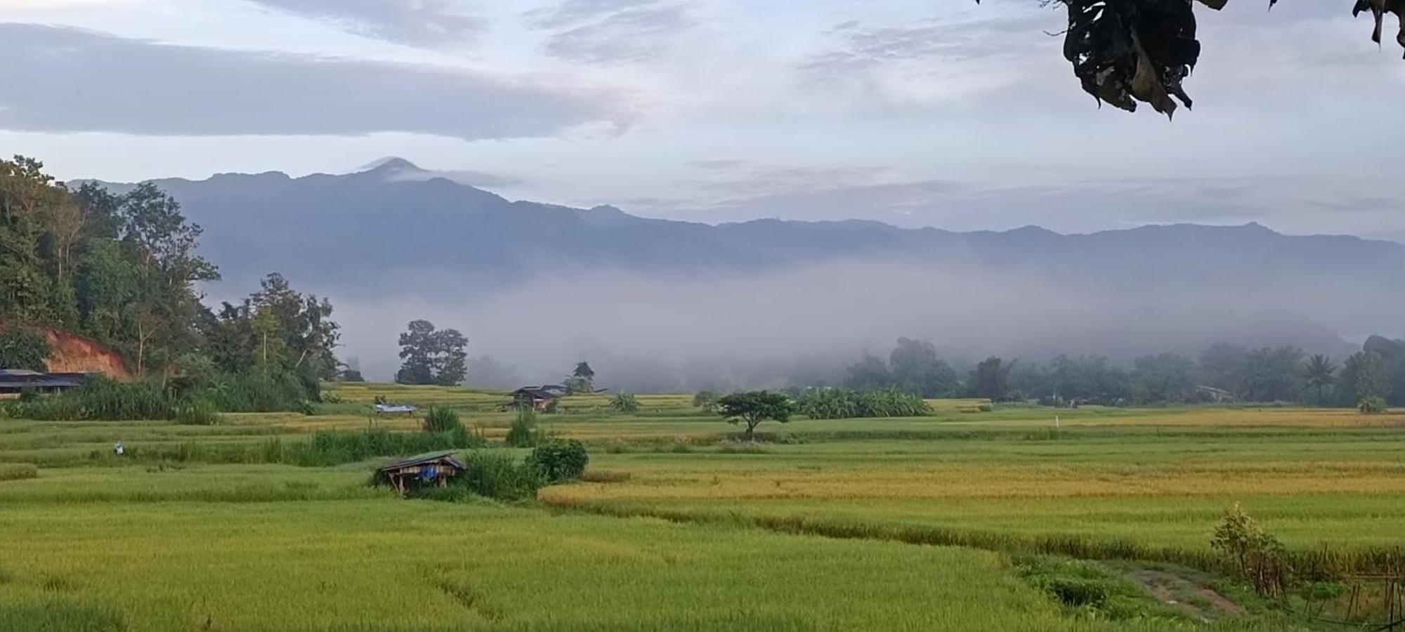 Kaewma Farmstay Khuang Kom Exterior foto