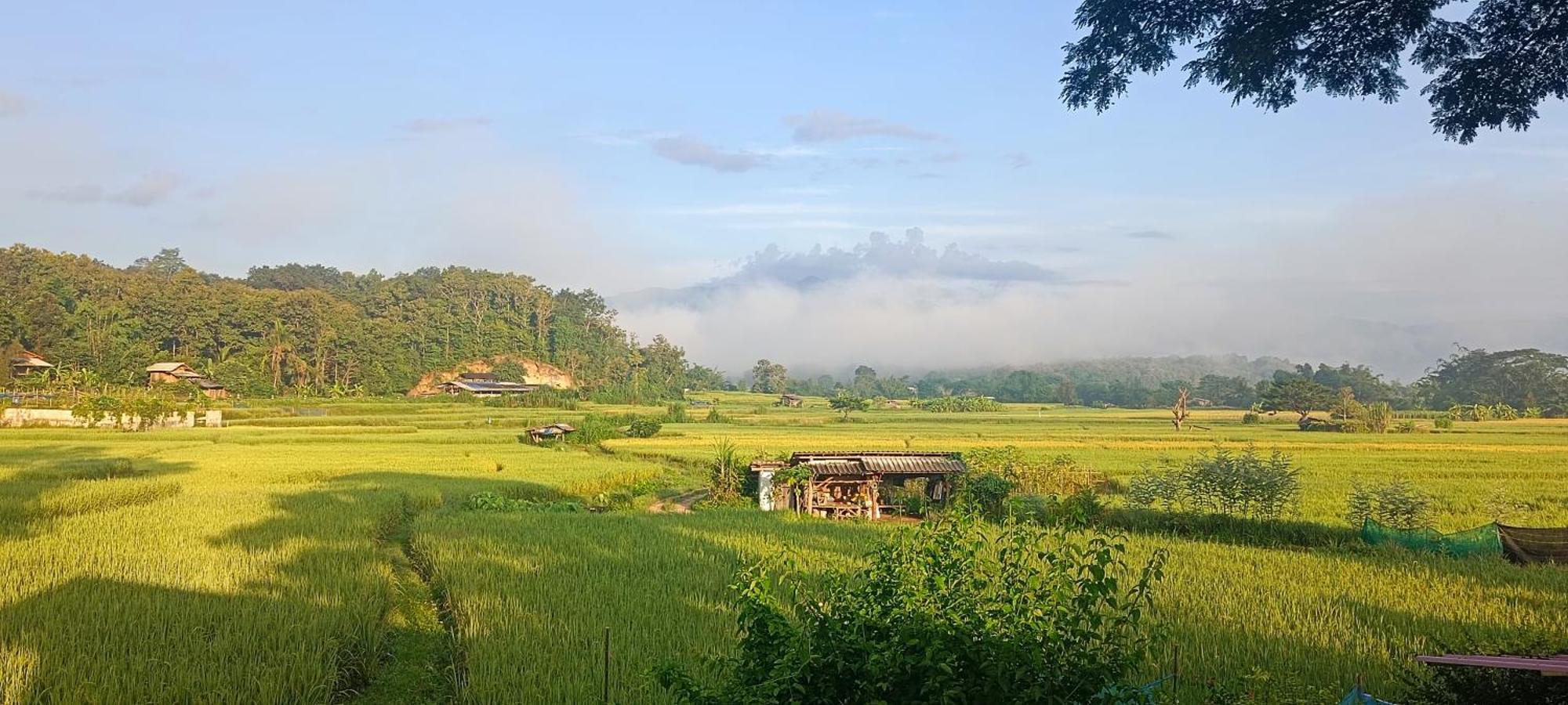 Kaewma Farmstay Khuang Kom Cameră foto